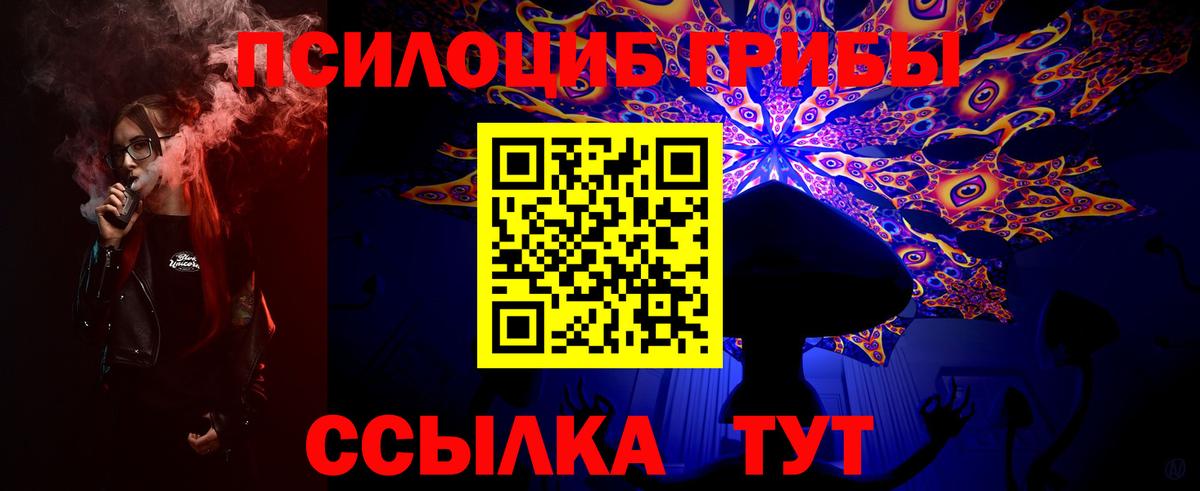 Галлюциногенные грибы мицелий  закладки  Вход с VPN  Кисловодск  Галлюциногенные грибы Magic Shrooms 