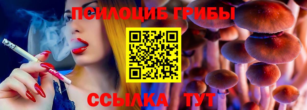 Псилоцибиновые грибы мухоморы Кисловодск